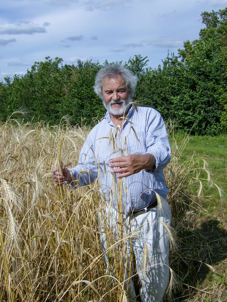 Colin Tudge among some of John Letts’s Heritage wheat in Buckinghamshire